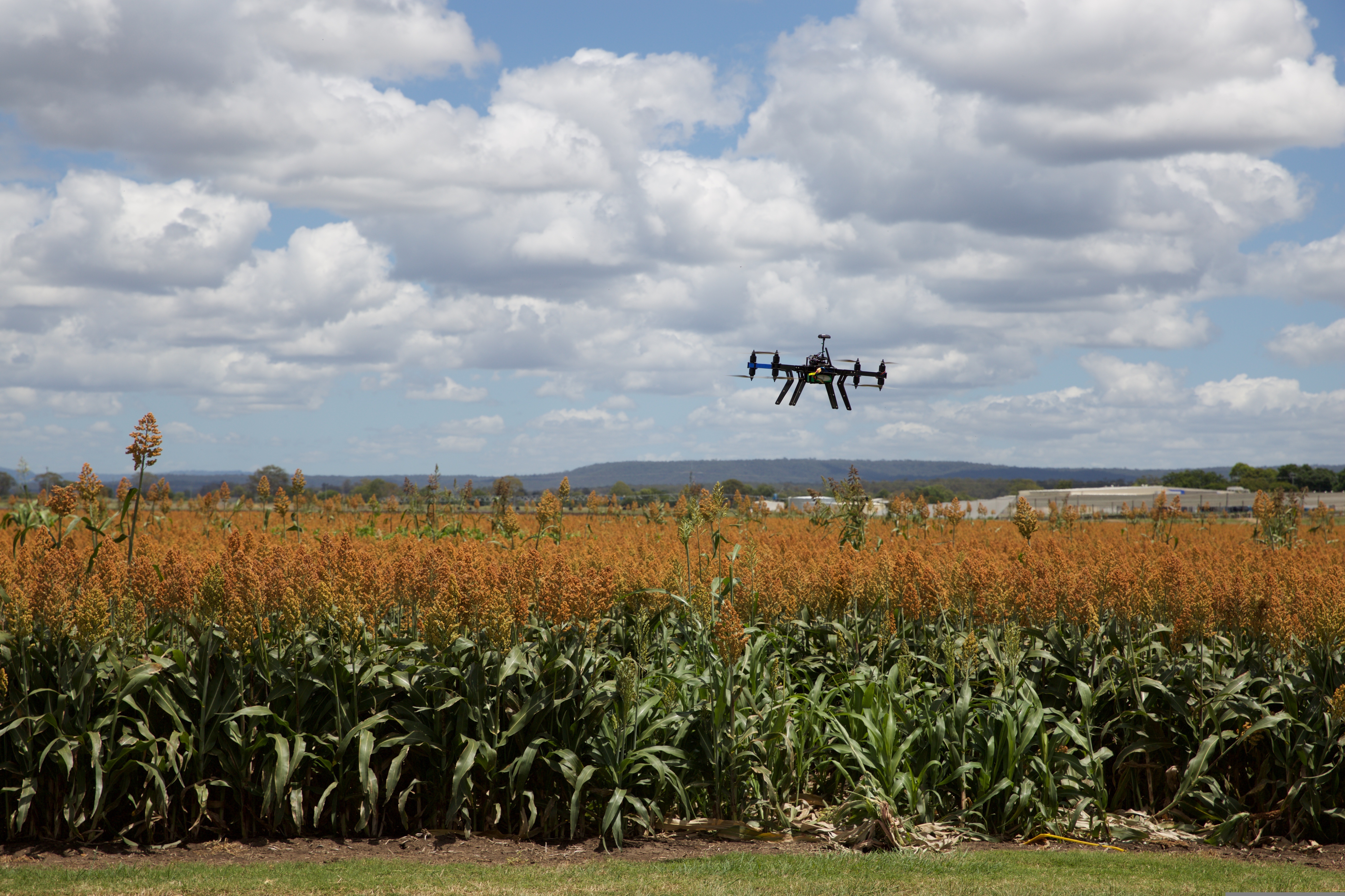 Coordinated operations across farming regions