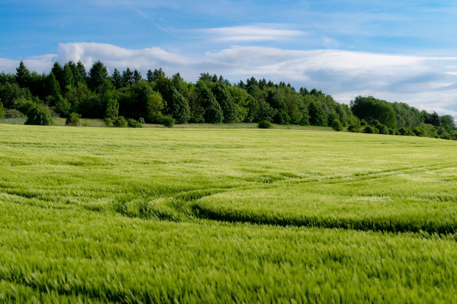 Farmer field ready for spray