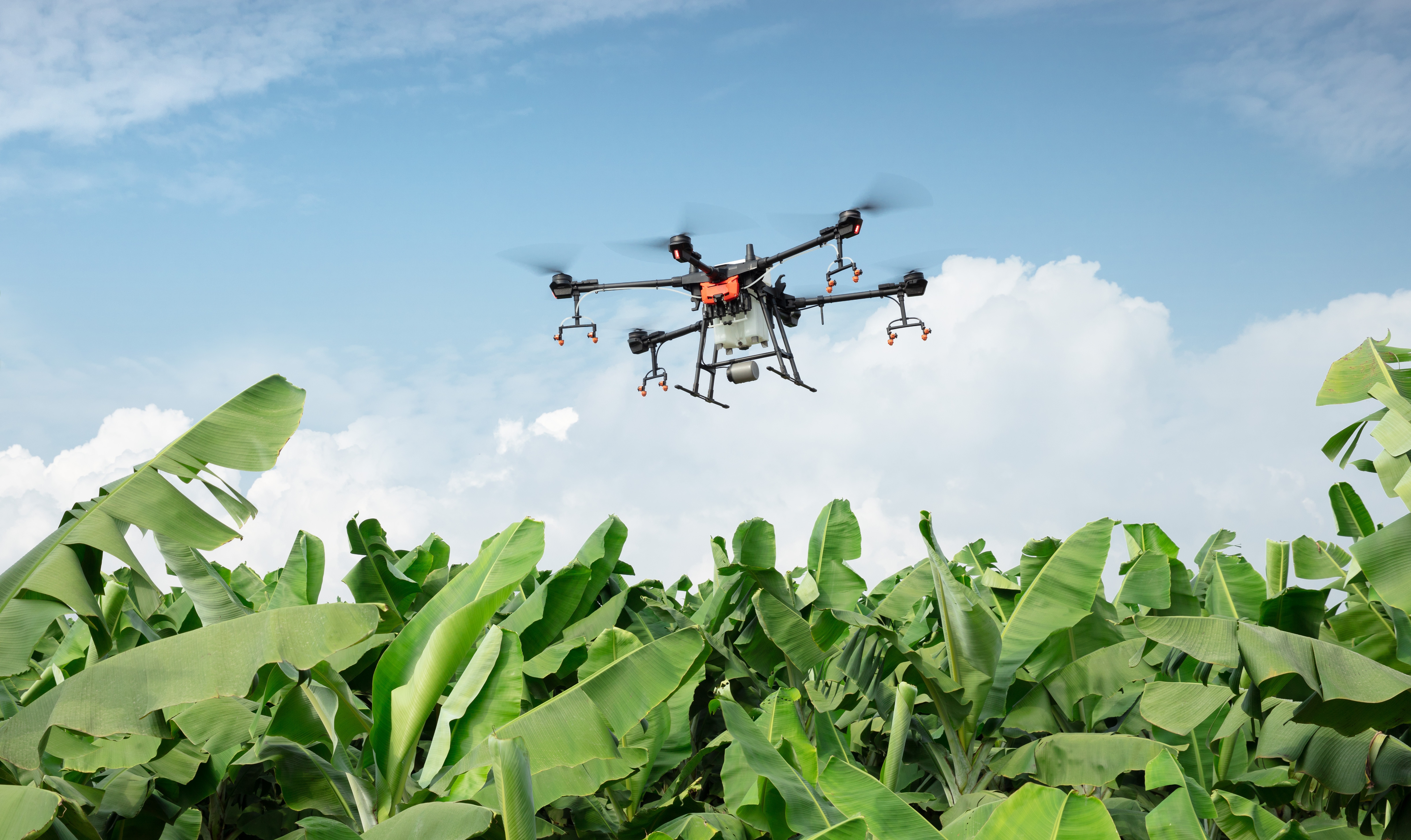 Agricultural drone spraying over crops